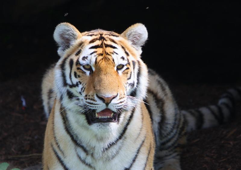 2008-08-05 11.04.26.JPG